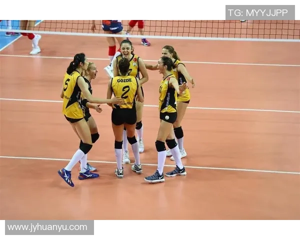 深度解析上海排球队的战术布局与欧冠足球的竞技魅力