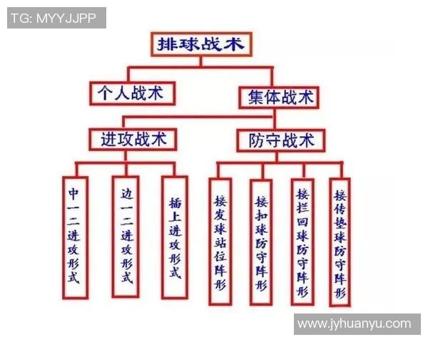 深圳排球队的节奏解析与战术深度剖析探秘排球背后的故事与技巧 深圳排球队的节奏解析与战术深度剖析探秘排球背后的故事与技巧