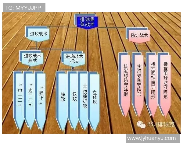 运动数据南京排球队反击战术深度解析与实战应用探讨