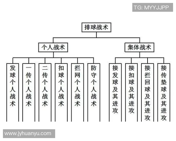 实时新闻上海排球队的战术变革与球员角色转换全解析